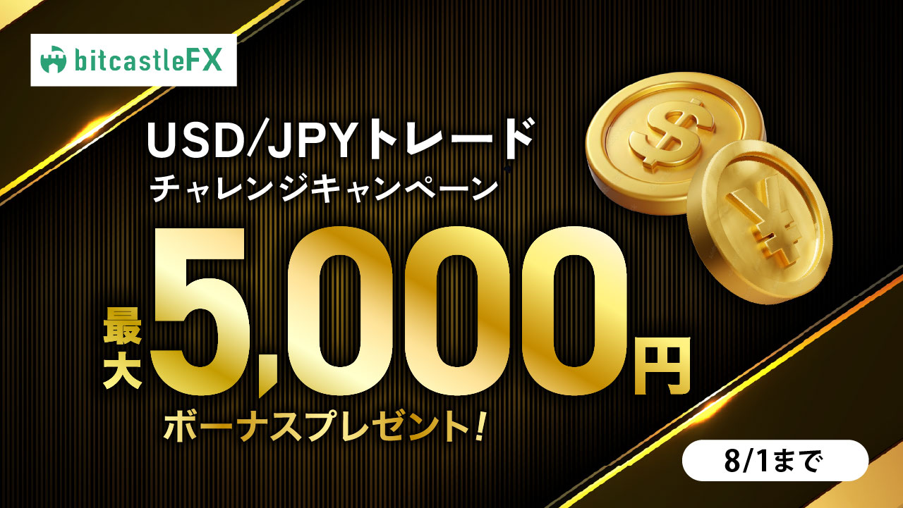 ハル様リクエスト 2点 おまとめ割引！200円お値引き済( *'ω'*)و 外為どっとコムFXのポイントサイト案件で総額19,000円もらえる